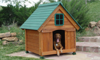 Изготовление будок для собак – неплохая идея начать собственный бизнес