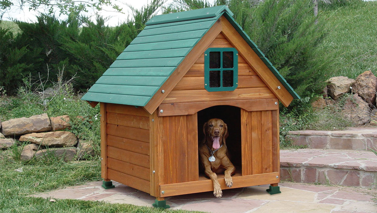 Изготовление будок для собак – неплохая идея начать собственный бизнес