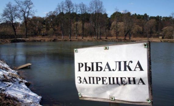Запрет на рыбалку в Московской области в 2022 году: новый закон