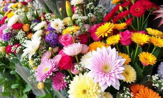 Цветы оптом: как купить правильно, хранить и не потерять прибыль